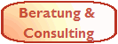 Beratung & Consulting